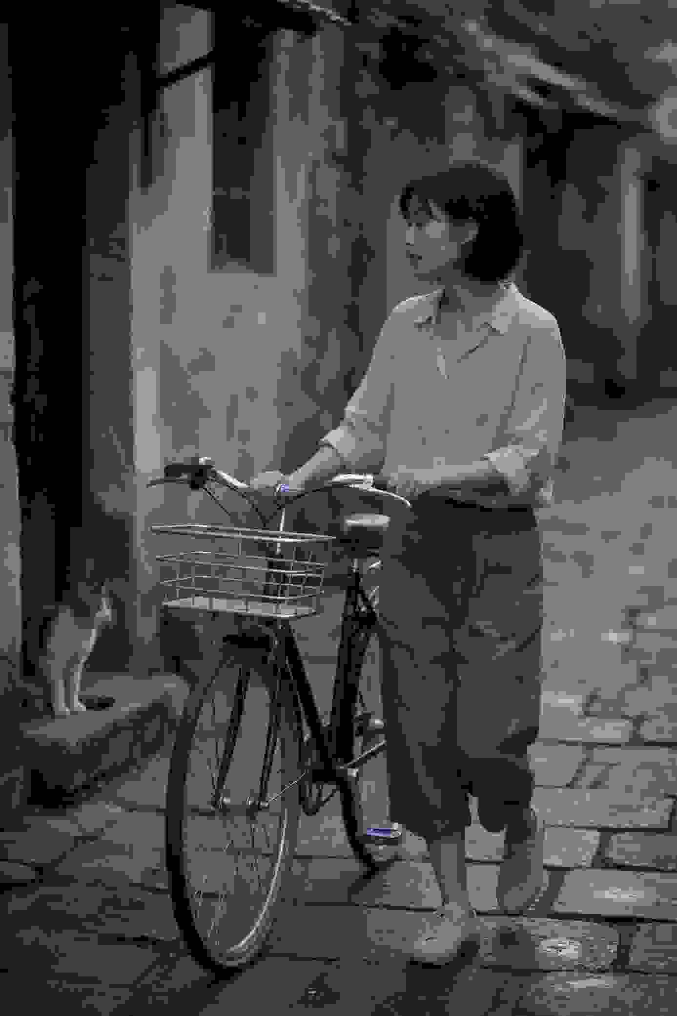 锦尚华年
